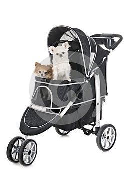 Pushchair for dog