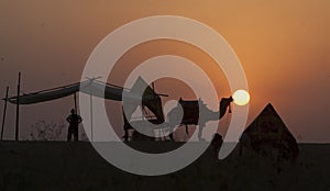 Pushkar mela in india. photo