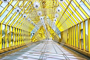 The Pushkinsky Pedestrian bridge in Moscow. Russia