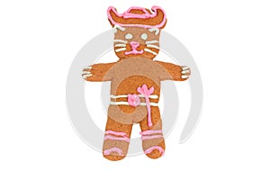 Puss in Boots gingerbread cookie
