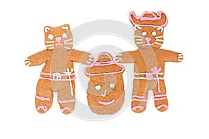 Puss in Boots gingerbread cookie