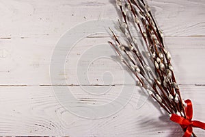 Pussy willow twigs on white wooden background. Top view, copy space