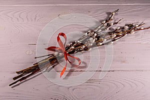 Pussywillow bouquet on the white wooden table