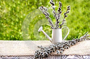 Pussywillow and watering can on a wooden board