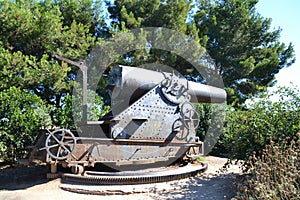 Puszka (artillery gun)