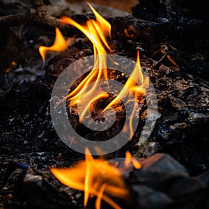 Put fire to the garbage in the backyard