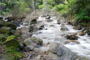 Putah Creek tributary in the Spring photo