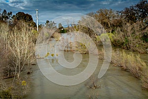 Putah Creek in Winters, California, USA