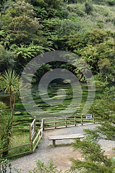 Putaruru Blue Springs Waihou River New Zealand and recreational area