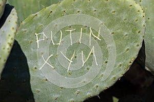 Putin xyn graffiti carved on a cactus