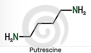 Putrescine molecule. It is toxic diamine, it belongs to the group of biogenic amines. Skeletal chemical formula