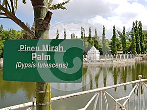 Putroe Phang Garden Behind Pineu Pirah Palm