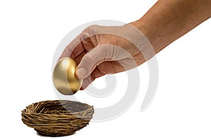 Putting Golden Egg In Nest