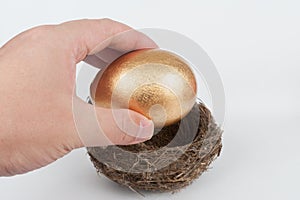 Putting golden egg in nest
