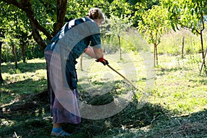 Putting the grass on the trailor. Farm chores, working on a field.