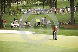 On the Putting Green