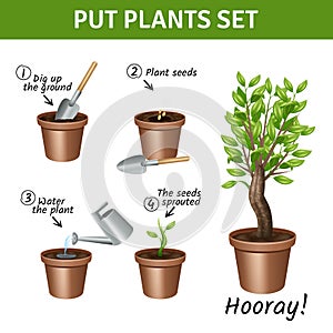 Putting Plants Icons Set