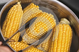 Putting raw corn cob into stewpot photo