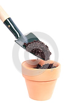 Putting soil in a terracotta pot