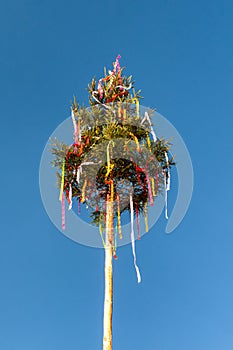 Putting up the maypoles - Slovak spring tradition