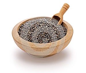 Puy green lentils