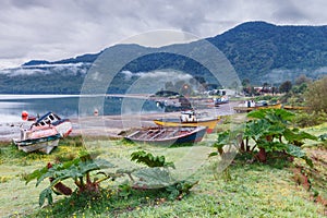Puyuhuapi fjord, patagonia, chile