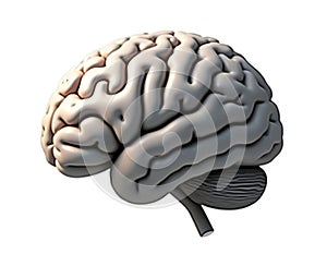 Puzzle Brain Isolated White Background Intelligence Problem Concept