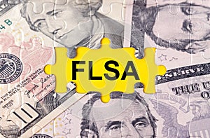 Puzzle with the image of dollars in the center of the inscription -FLSA