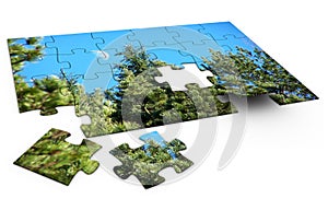 Puzzle Nature photo