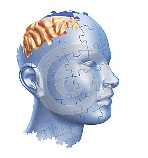 Puzzle Shaped Human Head