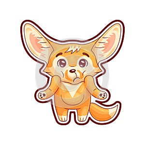 Puzzled fennec fox shrugs its shoulders