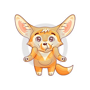 Puzzled fennec fox shrugs its shoulders photo