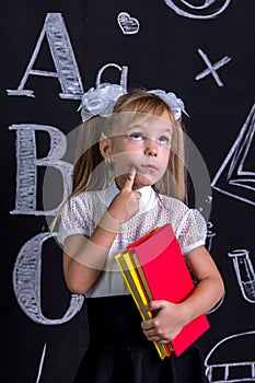 Puzzled schoolgirl standing before the chalkboard as a background with a couple of books holding them and pointing