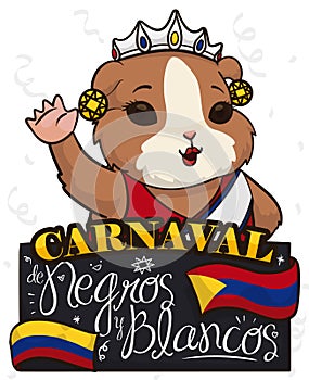 Female and Elegant Guinea Pig Disguised as Pasto`s Carnival Queen, Vector Illustration photo