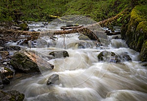 The Pwll y berw river at Dinas Rock