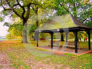 Silence golden fall in Cassiobury park