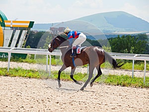 PYATIGORSK,RUSSIA - JULY 7: race for the Big prize OaKS. Mare Sa