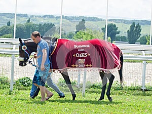 PYATIGORSK,RUSSIA - JULY 7: race for the mares Big prize OaKS o