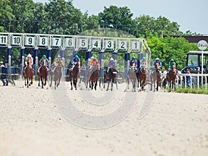 PYATIGORSK,RUSSIA - JULY 7: start of race for the Big prize OaKS