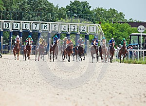 PYATIGORSK,RUSSIA - JULY 7: start of race for the Big prize OaKS