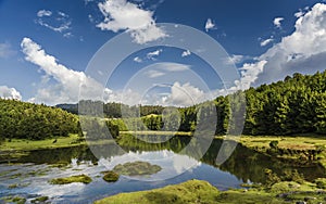 Pykara lake or river in Ooty photo