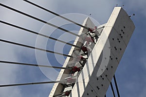 Pylon cable-stayed bridge