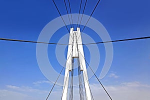Pylon cable-stayed bridge