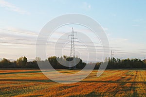 Pylon and cables over a cereal field in April in Paracuellos de Jarama, Spain.