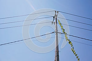 Pylon of a power line with outgoing electric wires againts a blue sky.