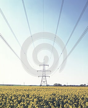 Pylon and power lines