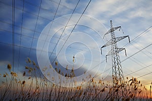 Pylon and power lines at sunset with grass