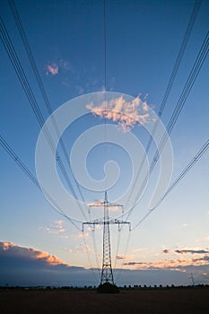 Pylon with transmission lines