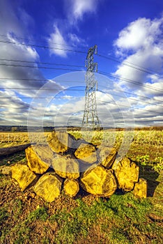 Pylons