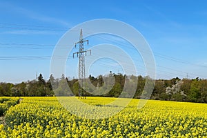 Pylons in a blooming rapeseed field